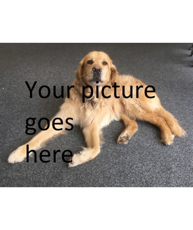 Photography Printing  Photo smooth pearl 290 paper