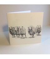 The Herdwick sheep card pack