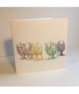 The Herdwick sheep card pack