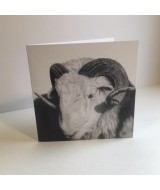 The Herdwick sheep card pack
