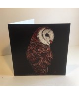 The Owl collection card pack