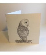 The Owl collection card pack